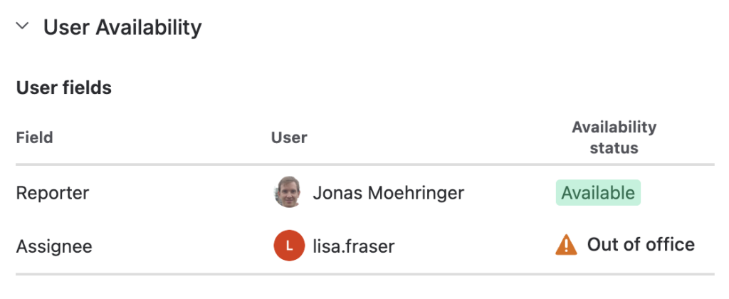 View of user fields on a Jira issue with availability